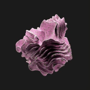 Nandu - Forever In Our Favor EP [IV96]