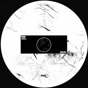 Pund - AshCloud [KRSL025]