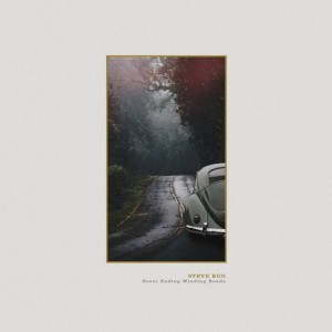 Steve Bug - Never Ending Winding Roads [PFRLP39]