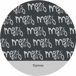 Tiptoes - Lessons in Viability [MORRIS107]