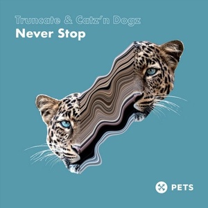 Truncate, Catz 'N Dogz - Never Stop EP [PETS126]