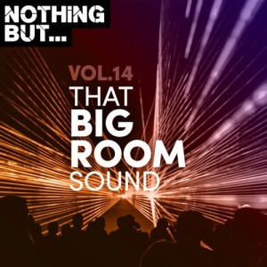 VA - Nothing But... That Big Room Sound, Vol. 14 [NBTBRS14]