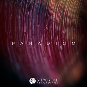VA - Steyoyoke Paradigm, Vol. 08 [SYYKPARA008]