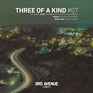 VA - Three of a Kind #07 [3AV225]
