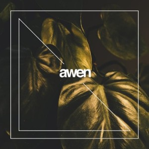 VA - Unexpected Paradox [AWEN123]