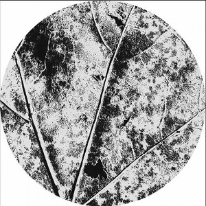Vayu - Nysiads [AFFIN052LTD]