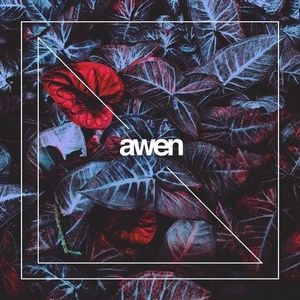 Animum - Bowed [AWEN127]