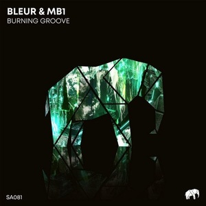 Bleur & MB1 - Burning Groove [SA081]