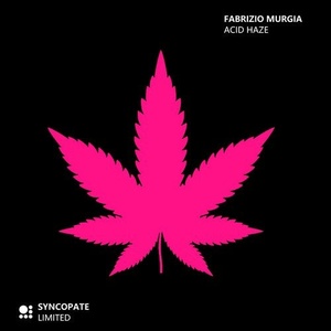 Fabrizio Murgia - Acid Haze [LIMITED003]