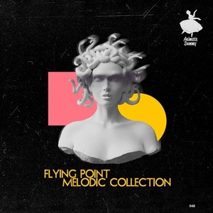 Flying Point - Melodic Collection [ANDR048]