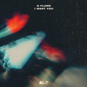 G Flame - I Want You [NO19LP008]