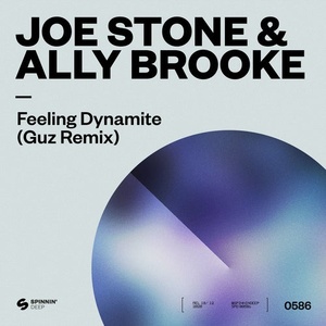 Joe Stone, Ally Brooke - Feeling Dynamite (Guz Extended Mix) [190295048839]