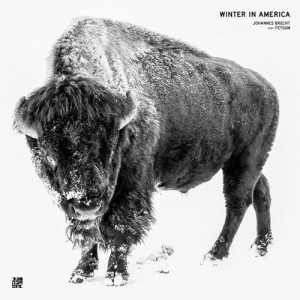 Johannes Brecht, Fetsum - Winter In America [DIYNAMIC131]