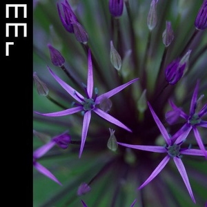 ORDA - Fragments [MOOD216]