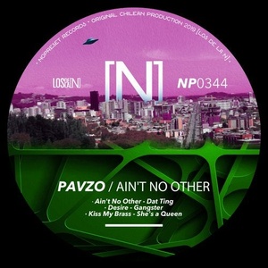 Pavzo - Ain't No Other [NP0344]
