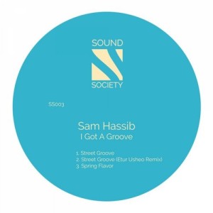 Sam Hassib - I Got a Groove [SS003]