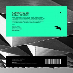 VA - Augmented 003 / Golan Zocher [ALLEYAUG003]