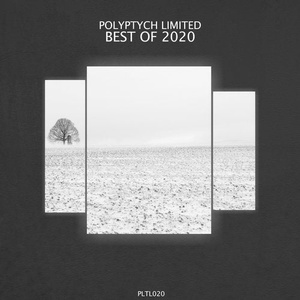VA - Best of 2020 [PLTL020]