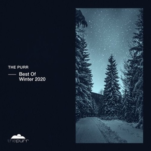 VA - Best of Winter 2020 [PURR267]