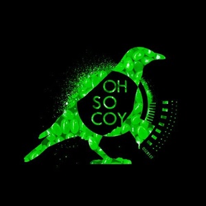 VA - Flavouritism Vol. 5 [OSCR159]