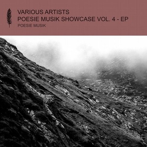VA - Poesie Musik Showcase, Vol. 4 [POM121]