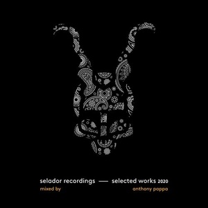 VA - Selected Works 2020 - Mixed By Anthony Pappa [SEL128]