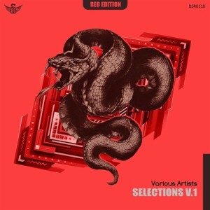 VA - Selections V1 [10185741]