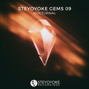 VA - Steyoyoke Gems Nocturnal 09 [SYYKCOMP014]