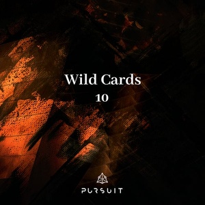 VA - Wild Cards 10 [PRST042]