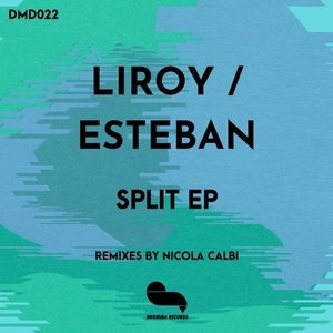 liroy, Esteban - Split ep [DMD22]