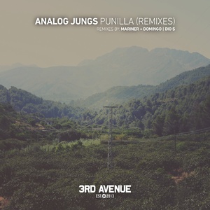 Analog Jungs - Punilla (Remixes) [3AV233]