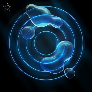 Black Lotus (GER) - Quantum Vacuum EP [FLASH261]