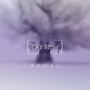 Bross (RO), Double Touch - Trubadour De Puente EP [TRY025]
