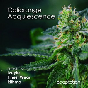 Caliorange - Acquiescence [AM106]