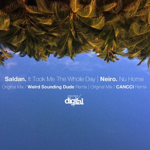 Neiro, Saldan - It Took Me the Whole Day | Nu Home [311SD]
