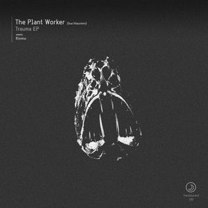 The Plant Worker, Maureen - Trauma EP [TRANS197]