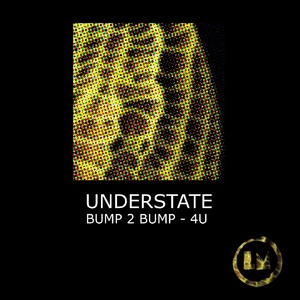 Understate - Bump 2 Bump - 4U [LPS293D]