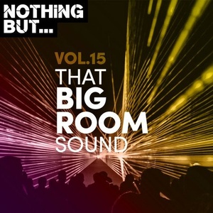 VA - Nothing But... That Big Room Sound, Vol. 15 [NBTBRS15]