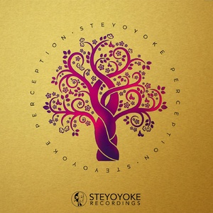 VA - Steyoyoke Perception, Vol. 8 [SYYKPERC008]