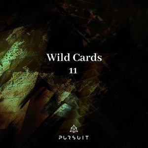 VA - Wild Cards 11 [PRST044]