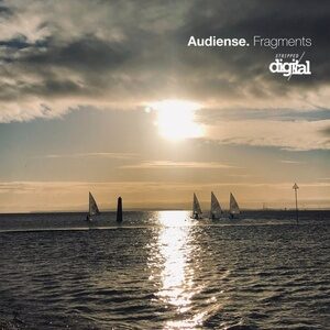 Audiense - Fragments [312SD]