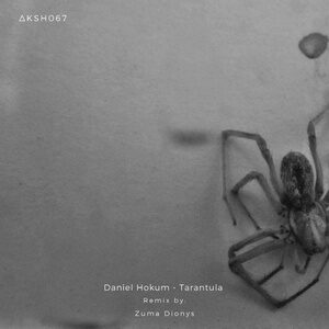 Daniel Hokum - Tarantula [AKSH067]