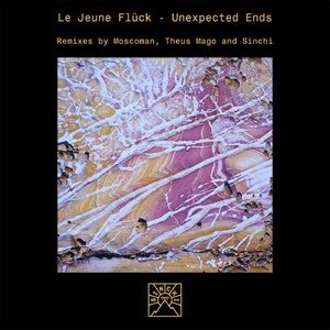 Le Jeune Fluck - Unexpected Ends [SIN010]