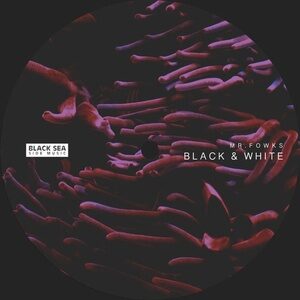 Mr. Fowks - Black & White [BSSM0053]