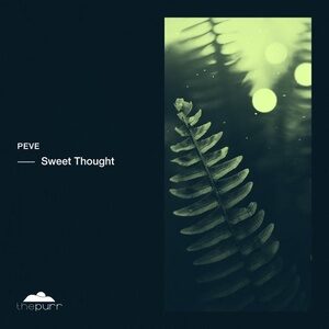 Peve - Sweet Thought [PURR271]
