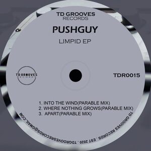 Pushguy - LIMPID EP [TDR0015]