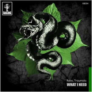 Rabo, Traumata - What I Need [10190001]