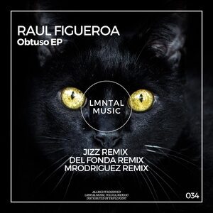 Raul Figueroa - Obtuso [LMT034]