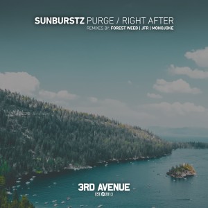 Sunburstz - Purge / Right After [3AV235]