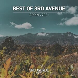 VA - Best of 3rd Avenue | Spring 2021 [3AV048LP]